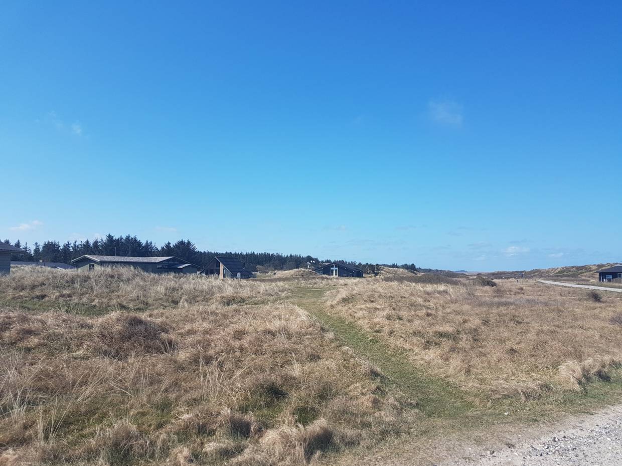 Ferienhäuser vor flachen Dünen