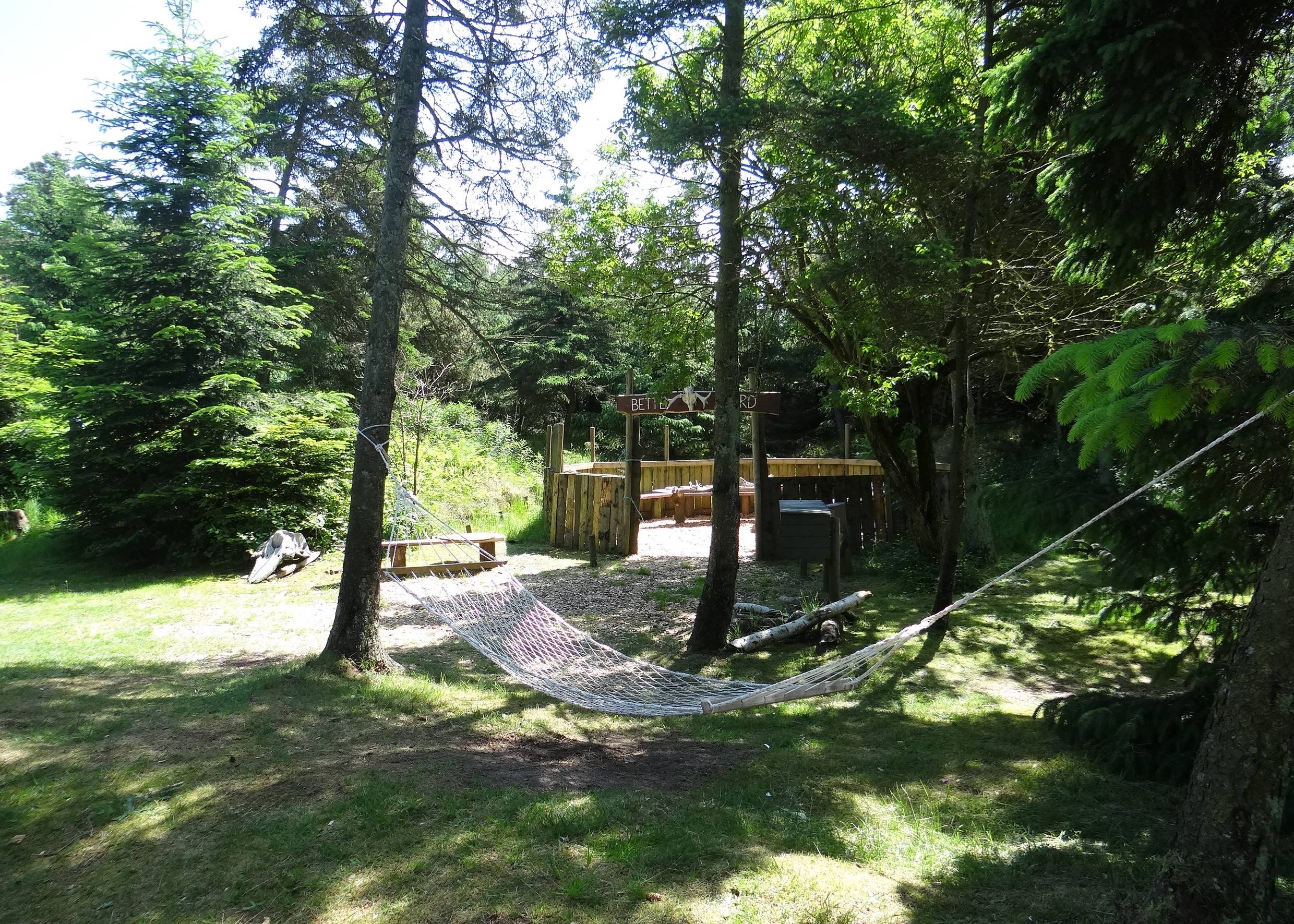 Hängematte im Wald zwischen zwei Bäumen