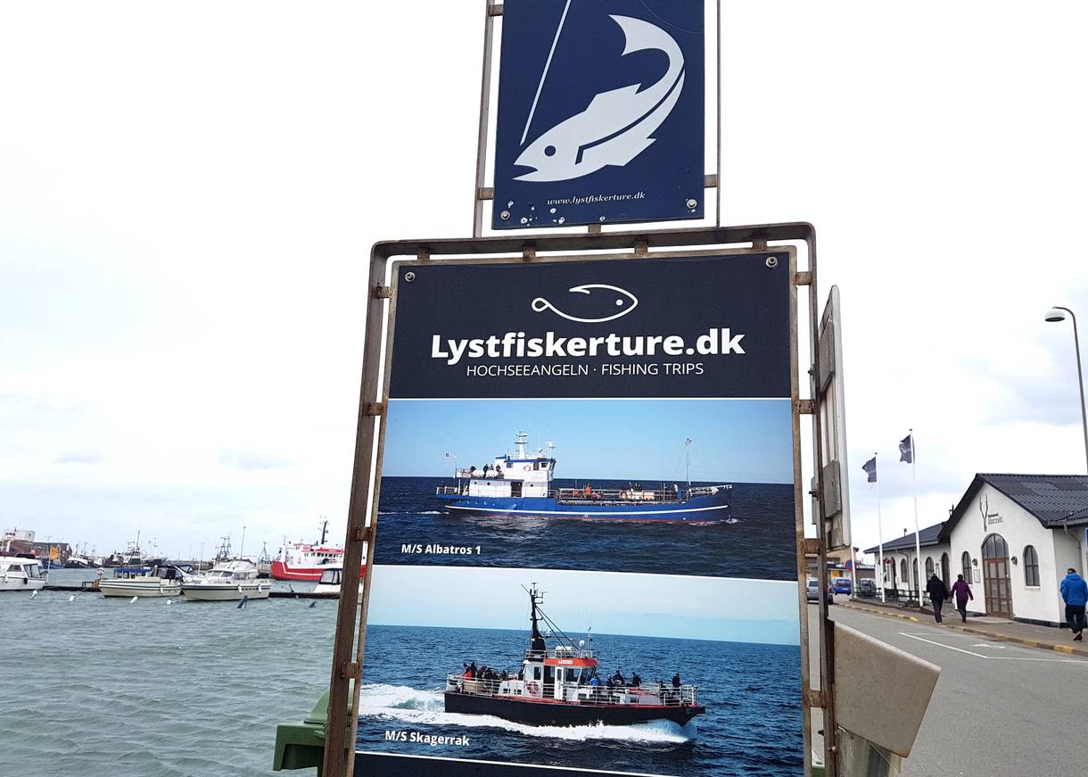 Hinweisschild zu Angeltouren am Hirtshals Hafen