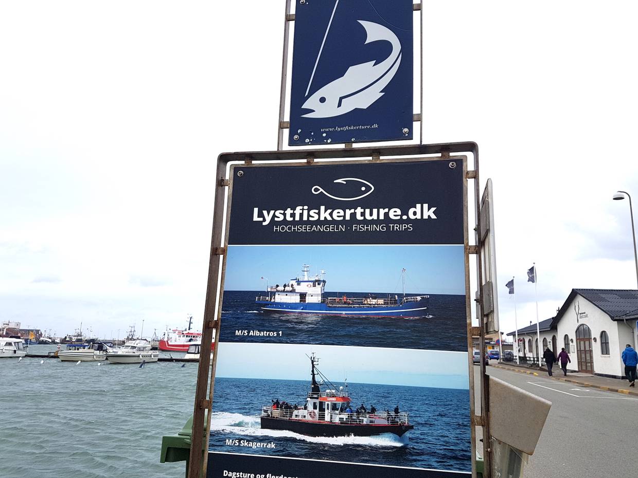 Hinweisschild zu Angeltouren am Hirtshals Hafen