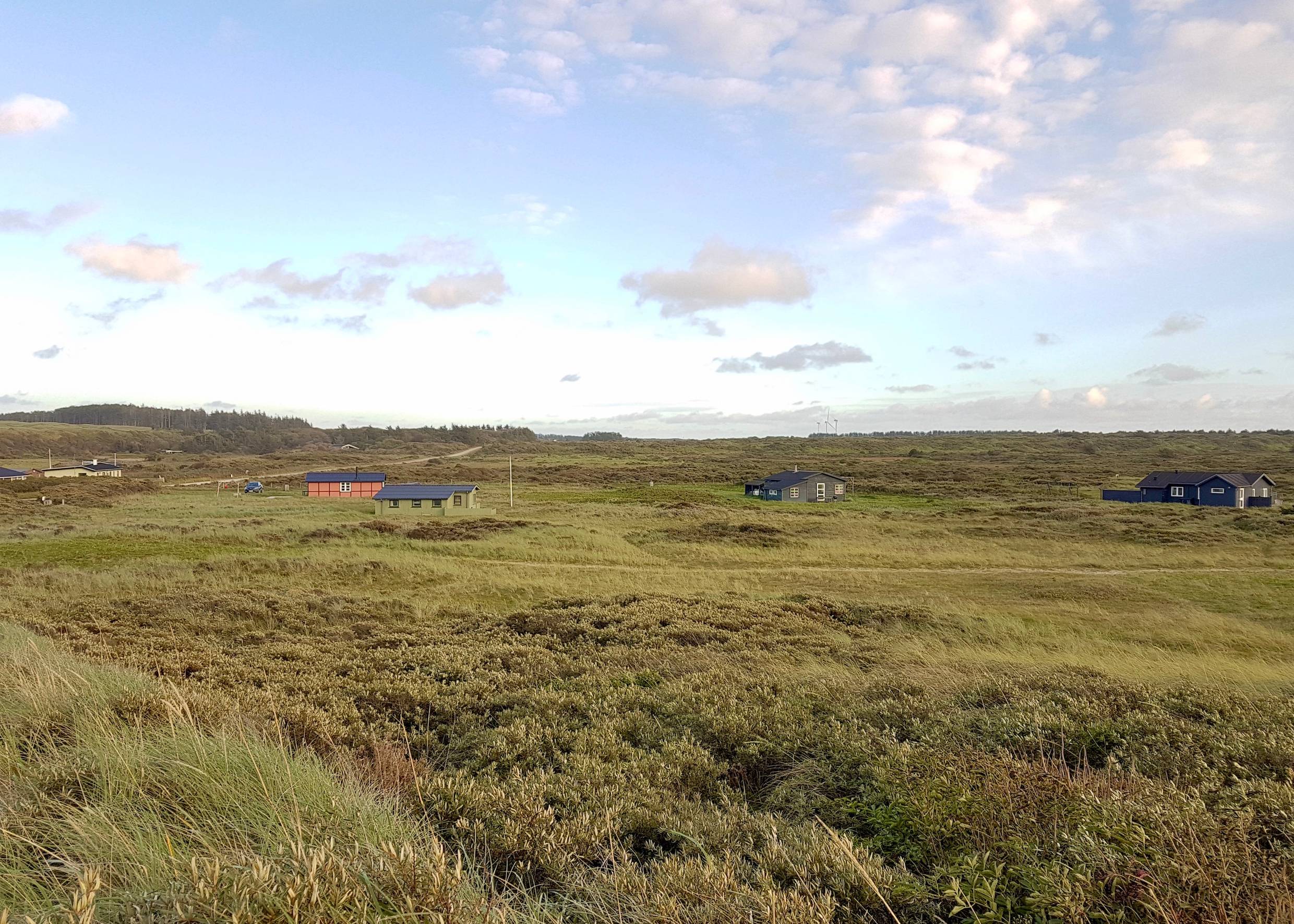 Blick auf eine grüne Landschaft mit Ferienhäuser vereinzelt verstreut