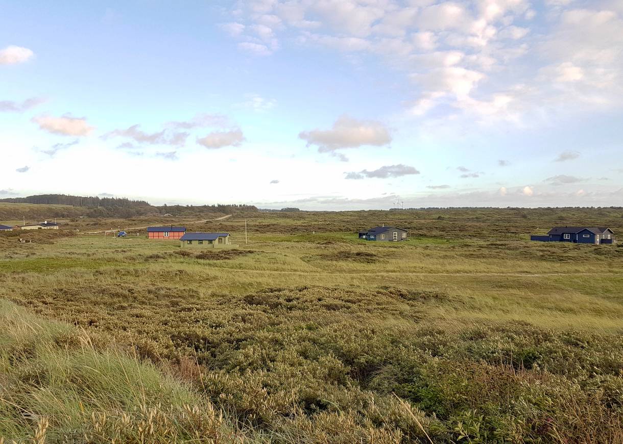 Blick auf eine grüne Landschaft mit Ferienhäuser vereinzelt verstreut