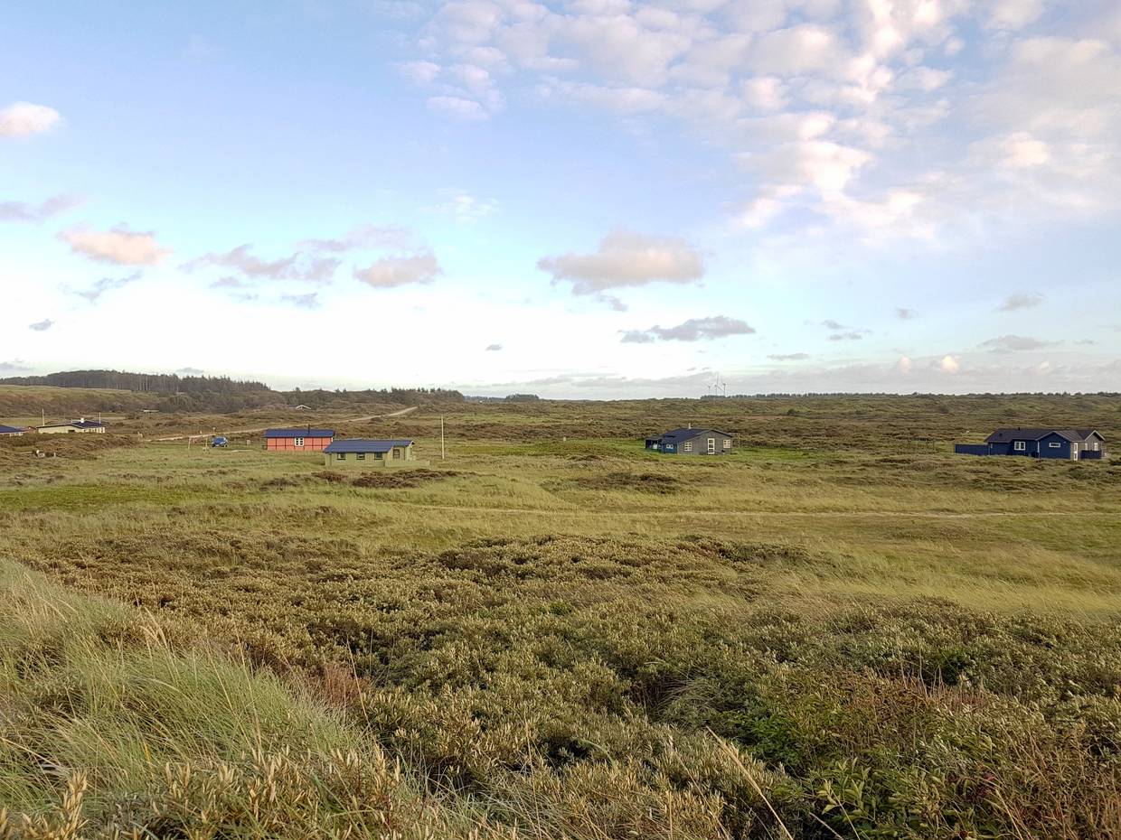 Blick auf eine grüne Landschaft mit Ferienhäuser vereinzelt verstreut