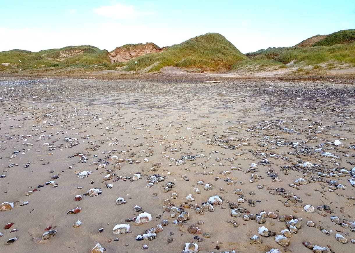 Strand mit eingien Steinen und eienr Dünenkette im Abendlicht