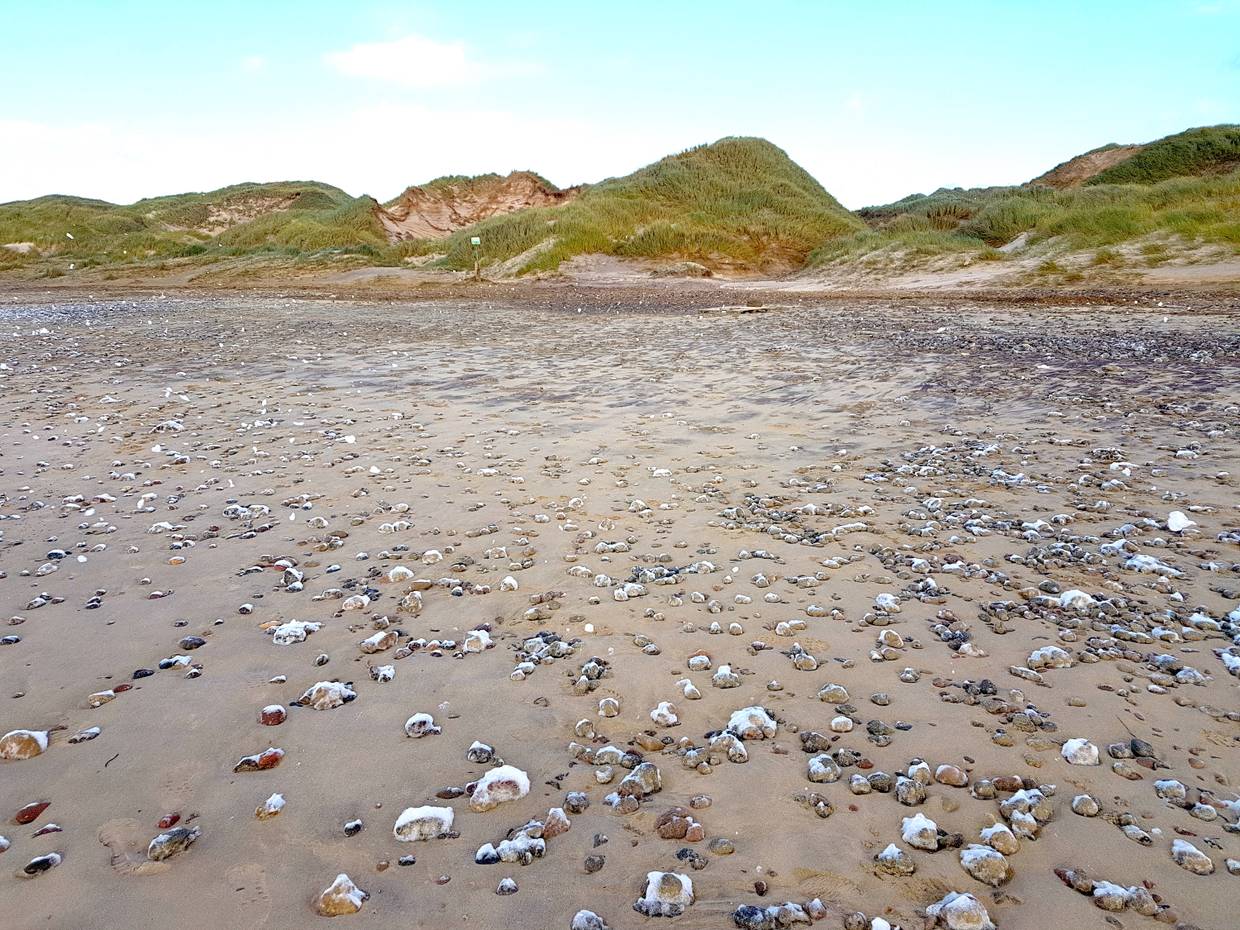 Strand mit eingien Steinen und eienr Dünenkette im Abendlicht
