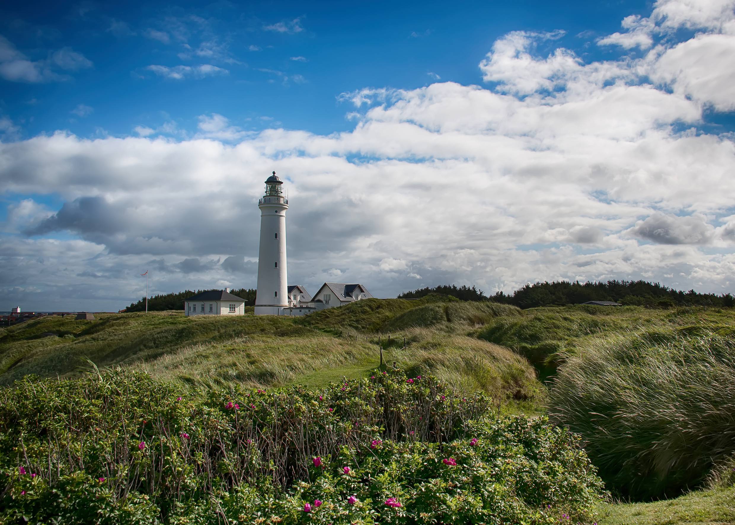 Weißer Leuchtturm von Hirtshals mit grünen Dünen im Vordergrund