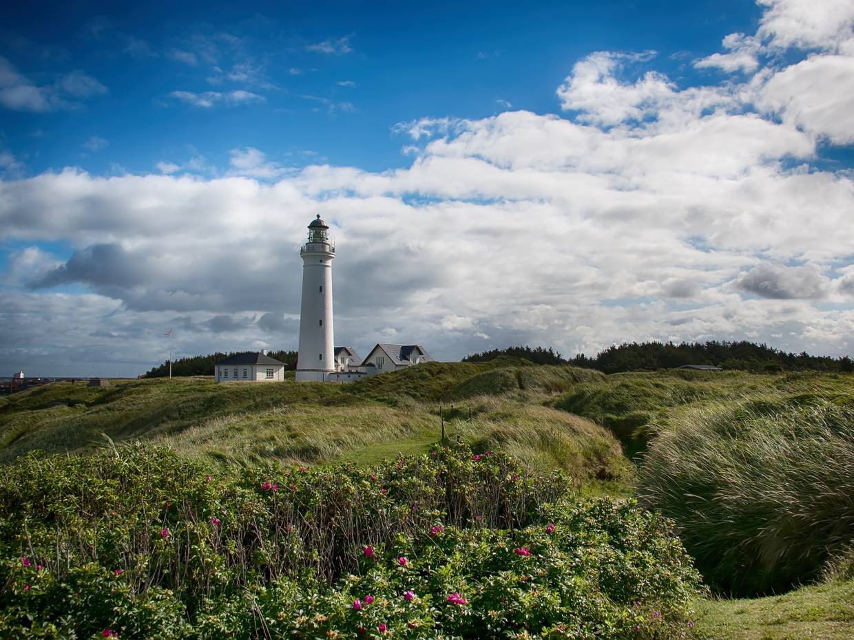 Weißer Leuchtturm von Hirtshals mit grünen Dünen im Vordergrund