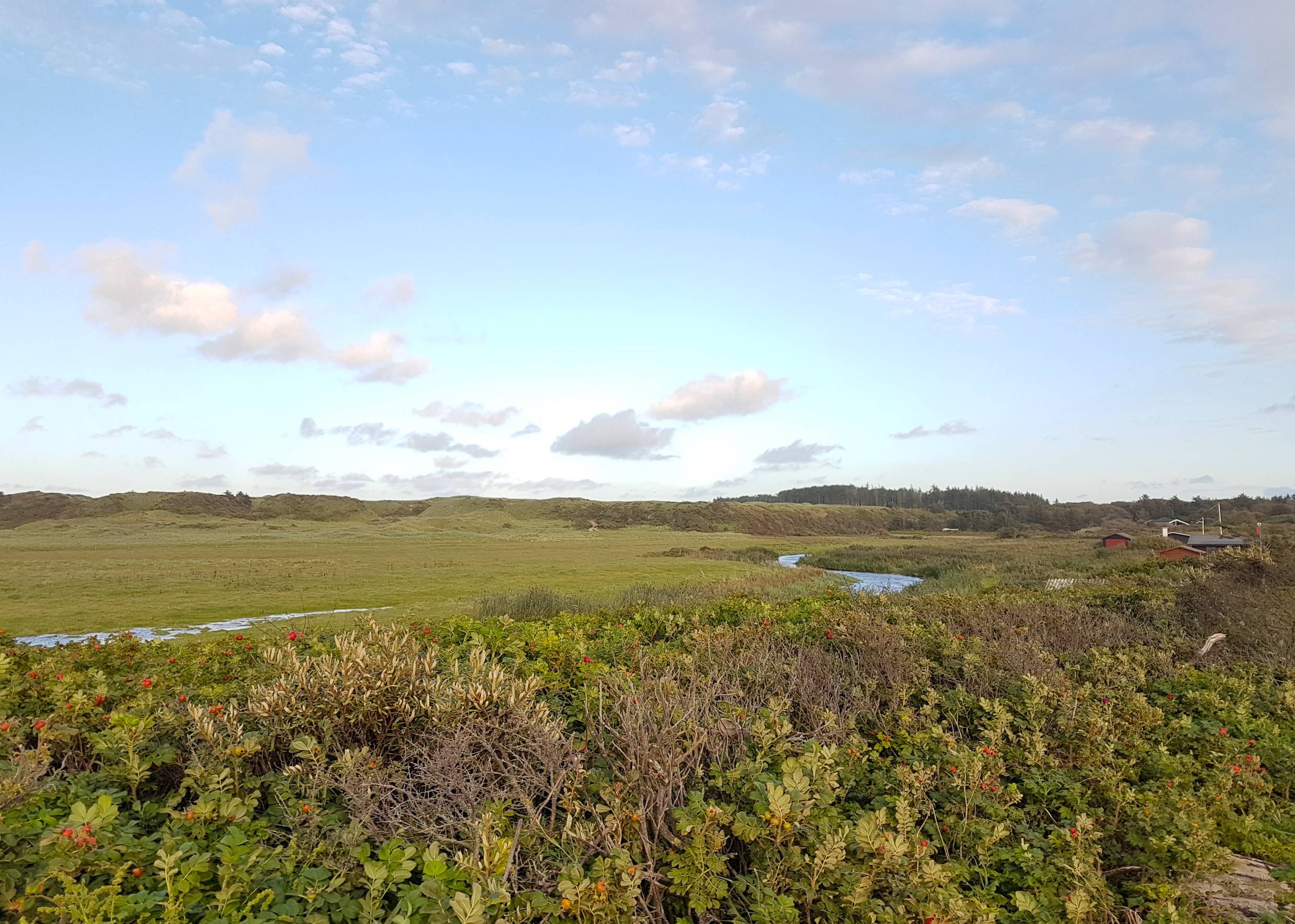 Wiesenlandschaft mit Dünen und einem Bachlauf