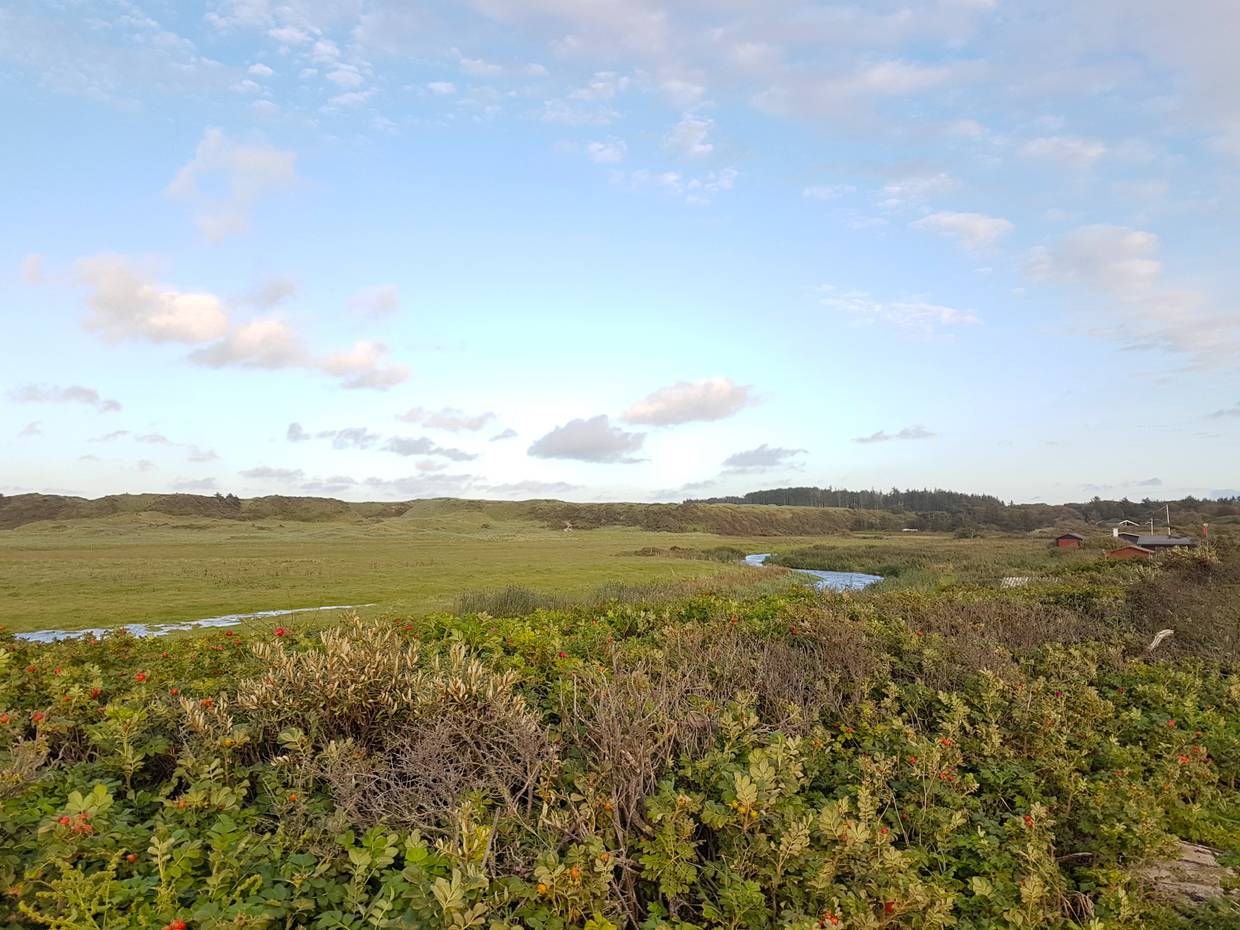 Wiesenlandschaft mit Dünen und einem Bachlauf