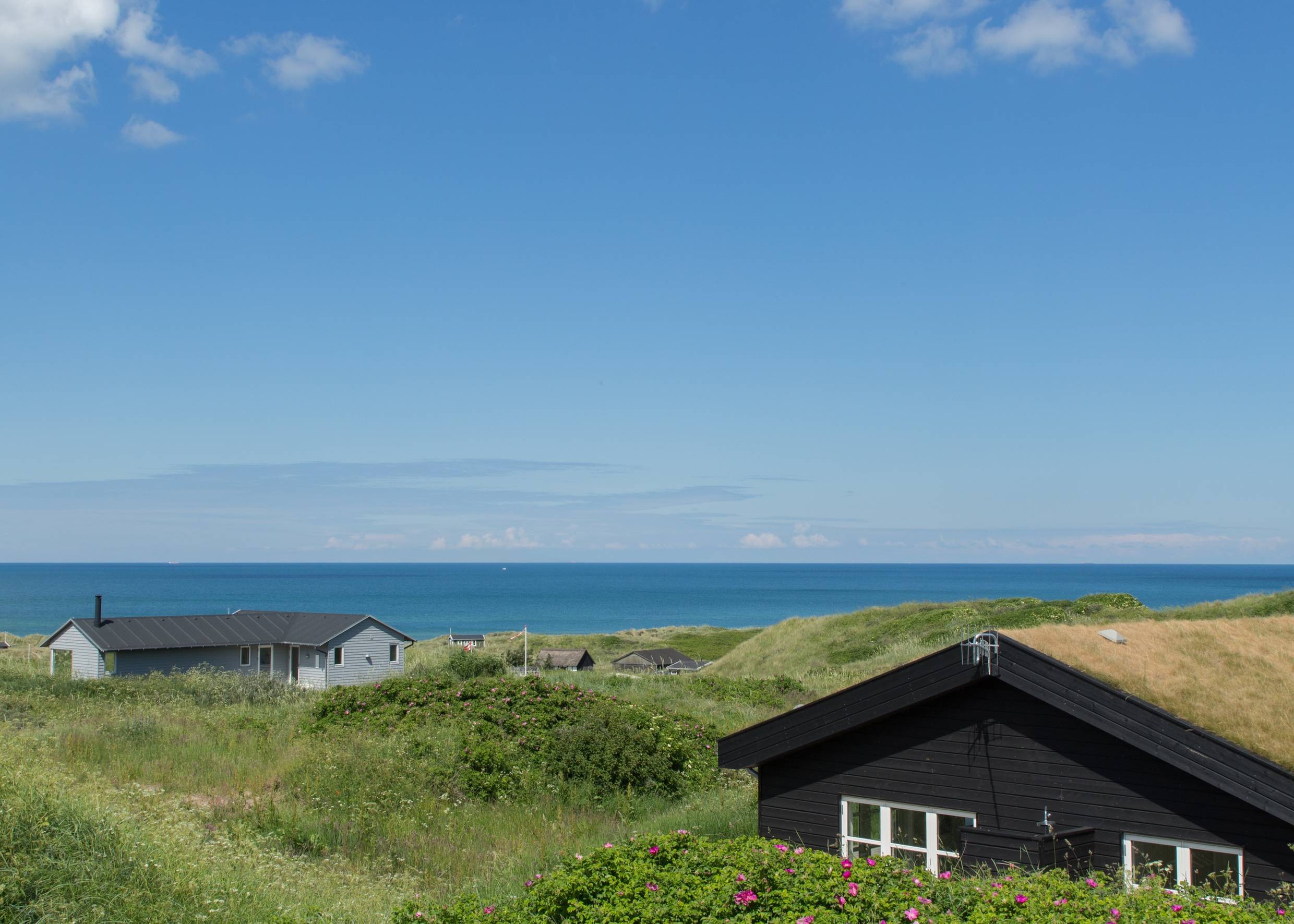 Blick über grüne Dünen zum Meer mit einigen Ferienhäusern