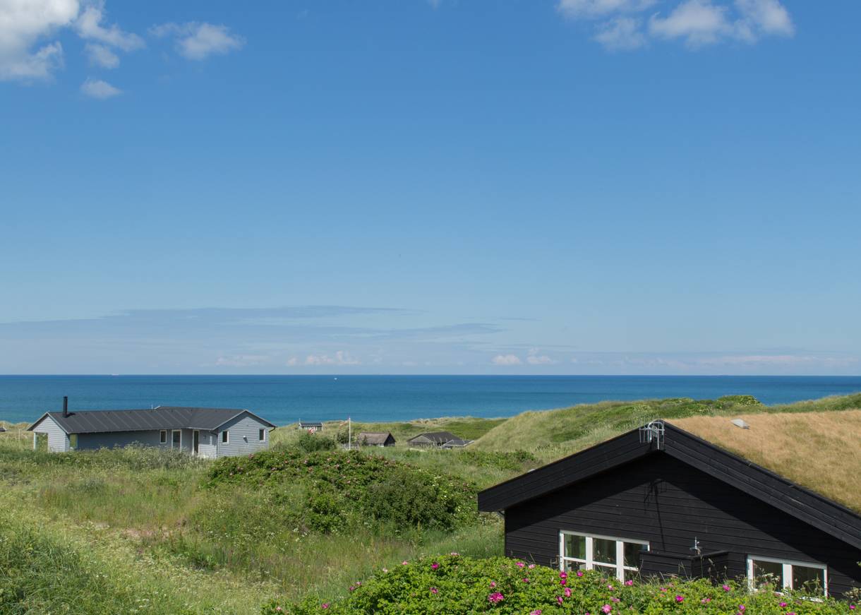 Blick über grüne Dünen zum Meer mit einigen Ferienhäusern