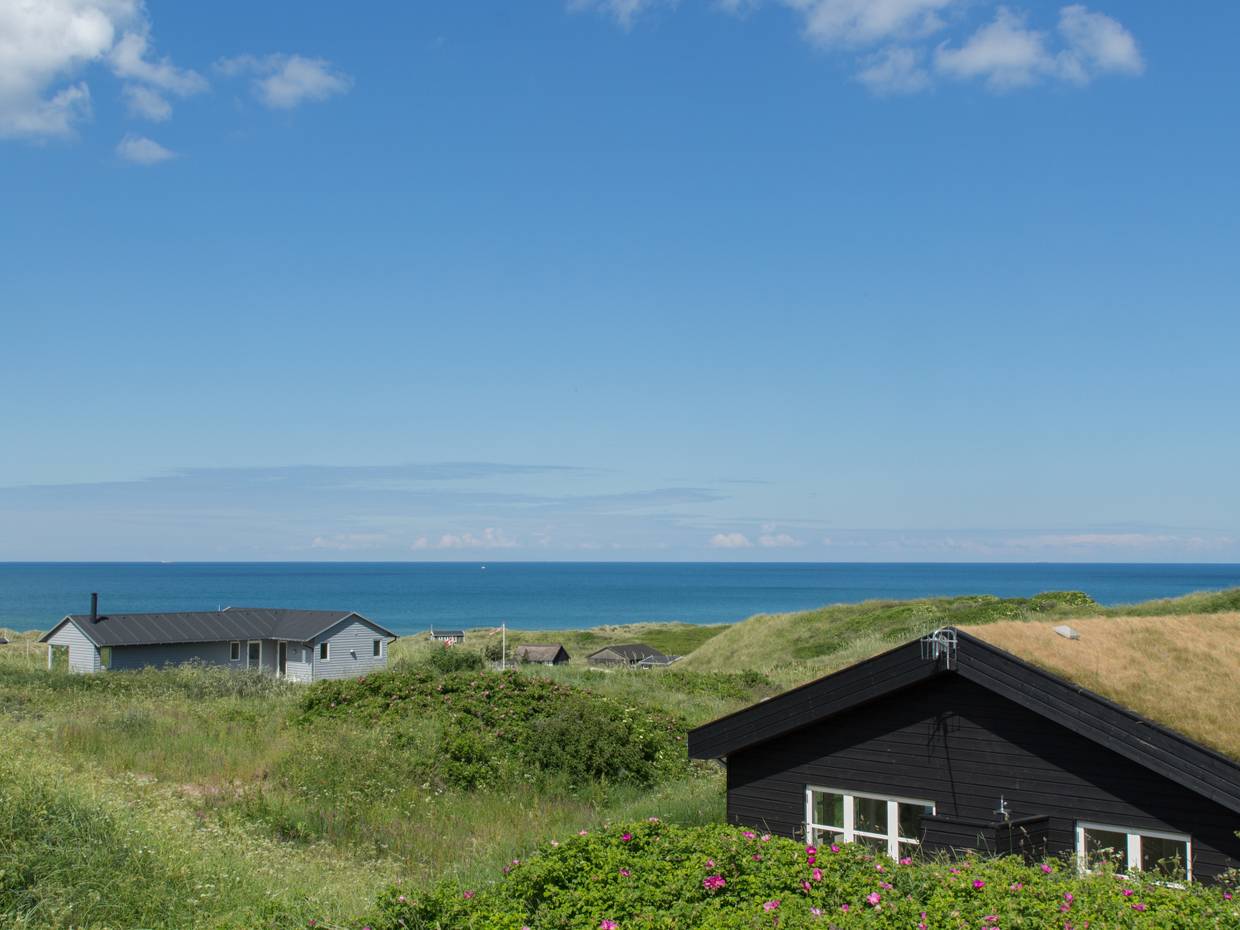 Blick über grüne Dünen zum Meer mit einigen Ferienhäusern