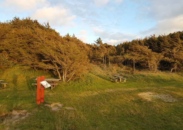 Picknickplatz und eine Infotafel vor dem Wald im Abendlicht