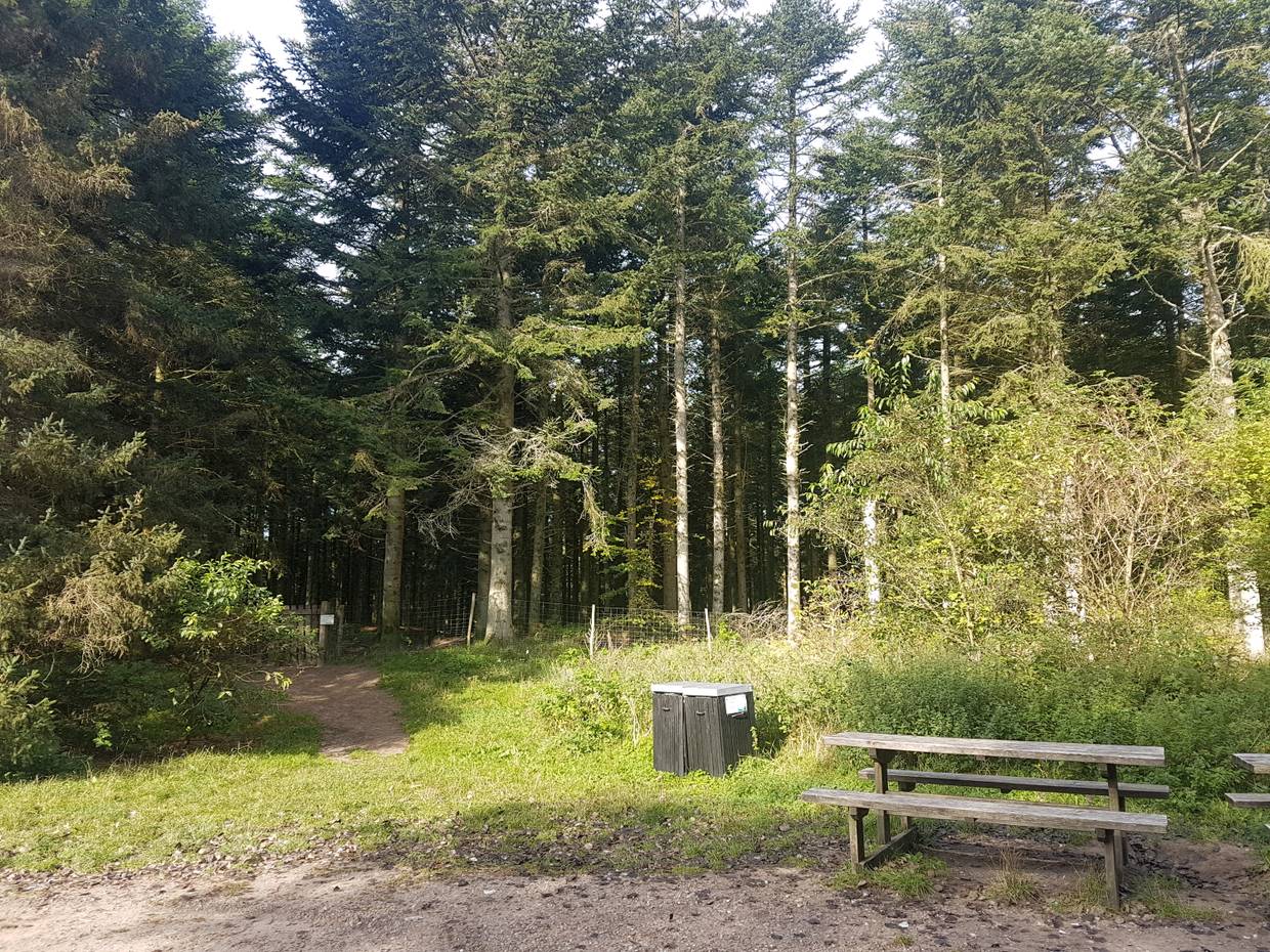 Eingang zu einem umzäunten Waldstück, davor Picknickplatz