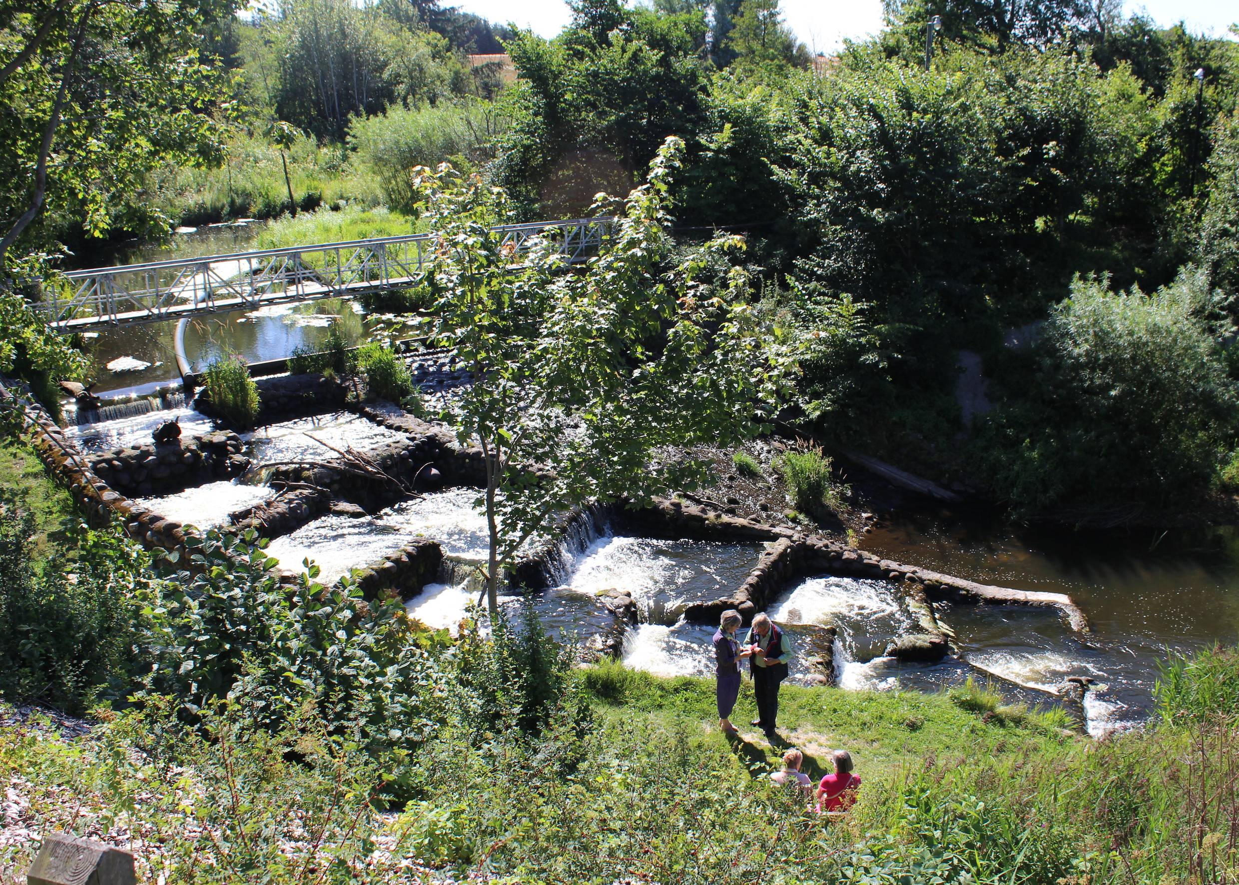 Eine Treppe in einem schmalen Fluss für Lachse und Forellen