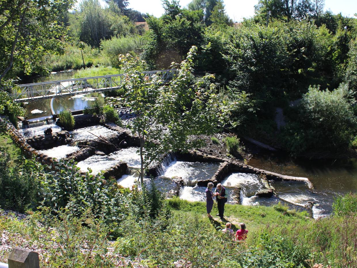 Eine Treppe in einem schmalen Fluss für Lachse und Forellen