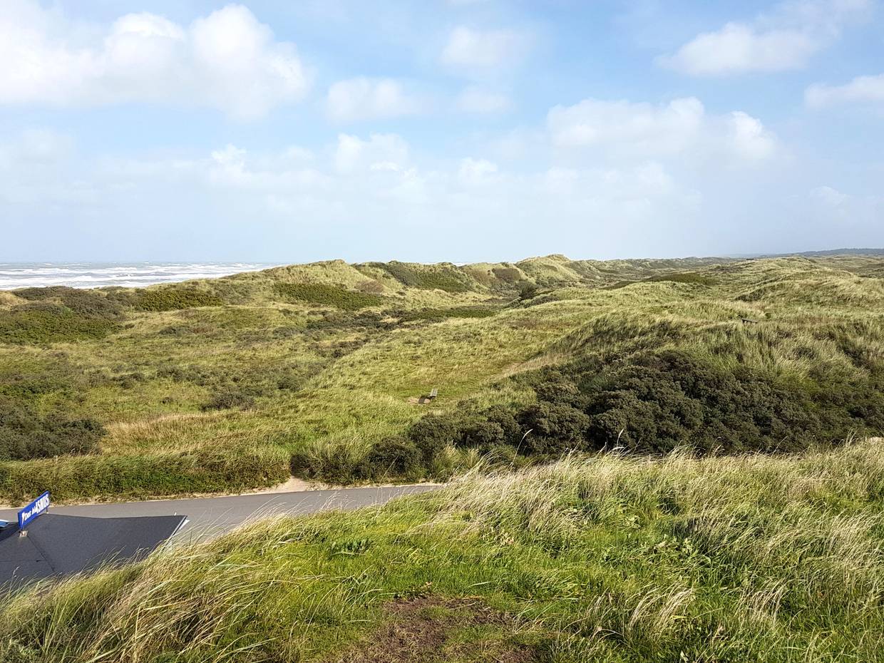 Blick über eine schmale Straße auf grün bewachsene Dünen, im Hintergrund das Meer