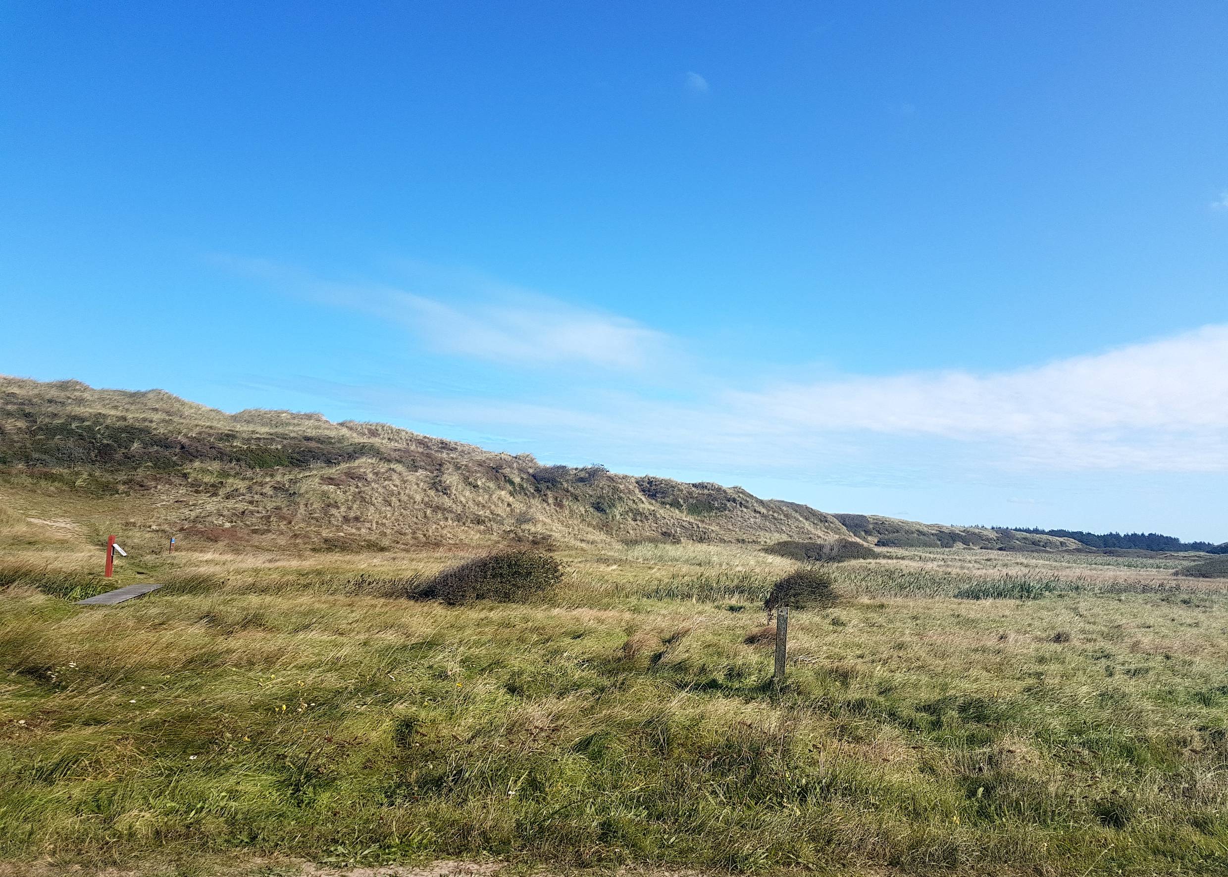 Wiese, die sich zu einer begrünten Düne erhebt, einige Hinweisschilder im Grünen