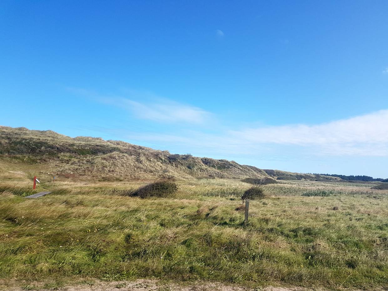 Wiese, die sich zu einer begrünten Düne erhebt, einige Hinweisschilder im Grünen