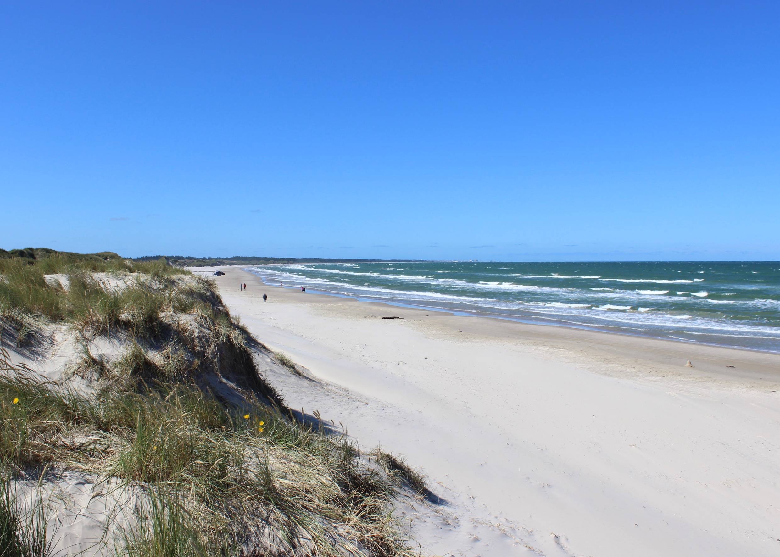 Blick von einer Sanddüne auf den breiten Sandstrand