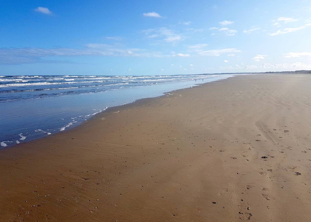 Nordseestrand unter blauem Himmel