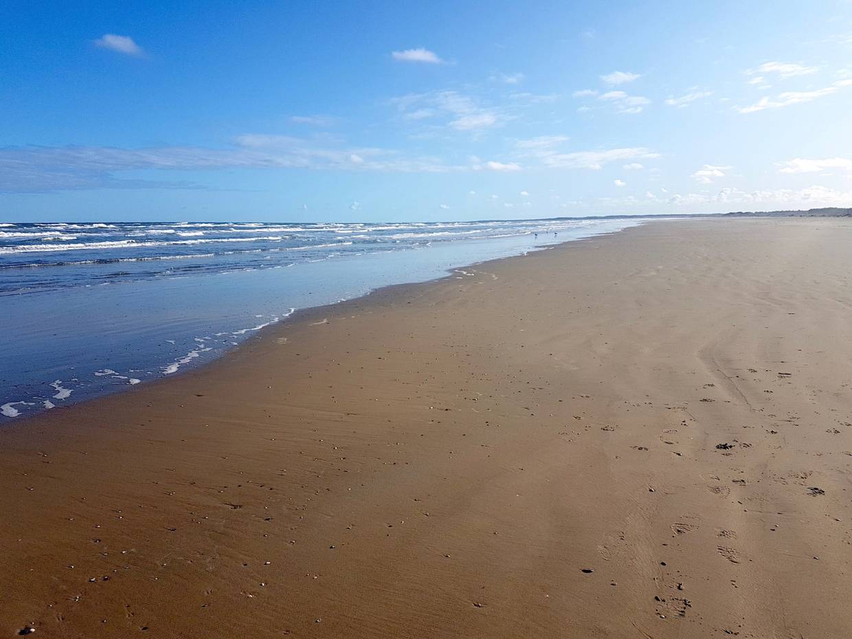 Nordseestrand unter blauem Himmel