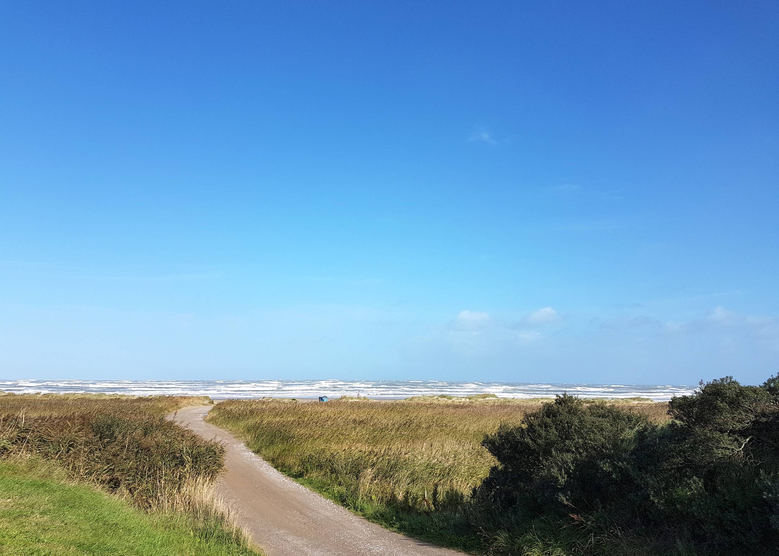 Strandzufahrt zwischen Schilfwiesen hindurch zur Nordsee, strahlend blauer Himmel