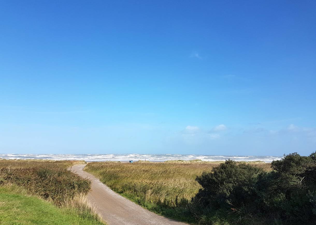 Strandzufahrt zwischen Schilfwiesen hindurch zur Nordsee, strahlend blauer Himmel