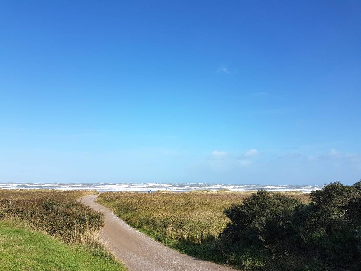 Strandzufahrt zwischen Schilfwiesen hindurch zur Nordsee, strahlend blauer Himmel