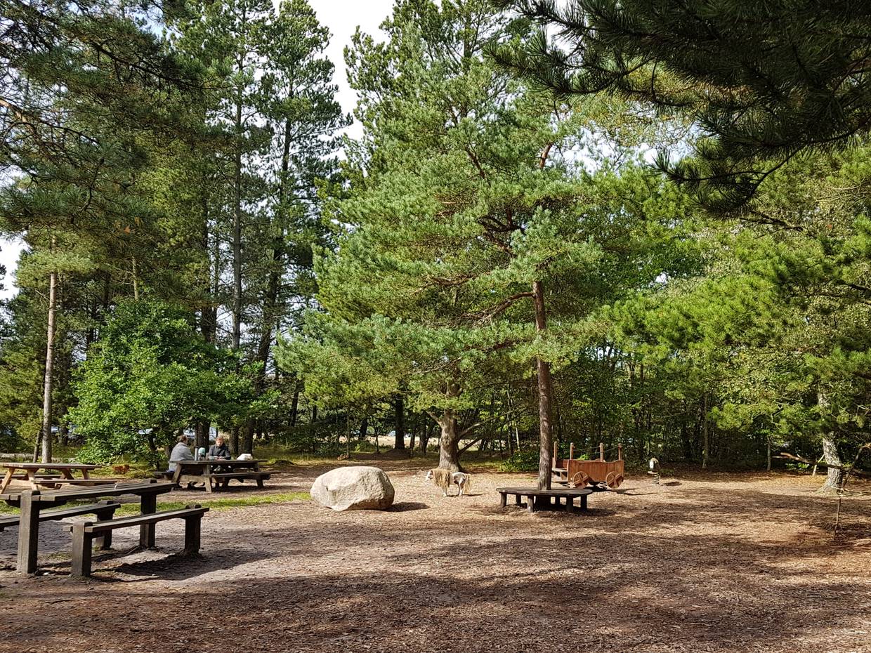 Picknickbänke auf einem Waldspielplatz in der Tversted Plantage