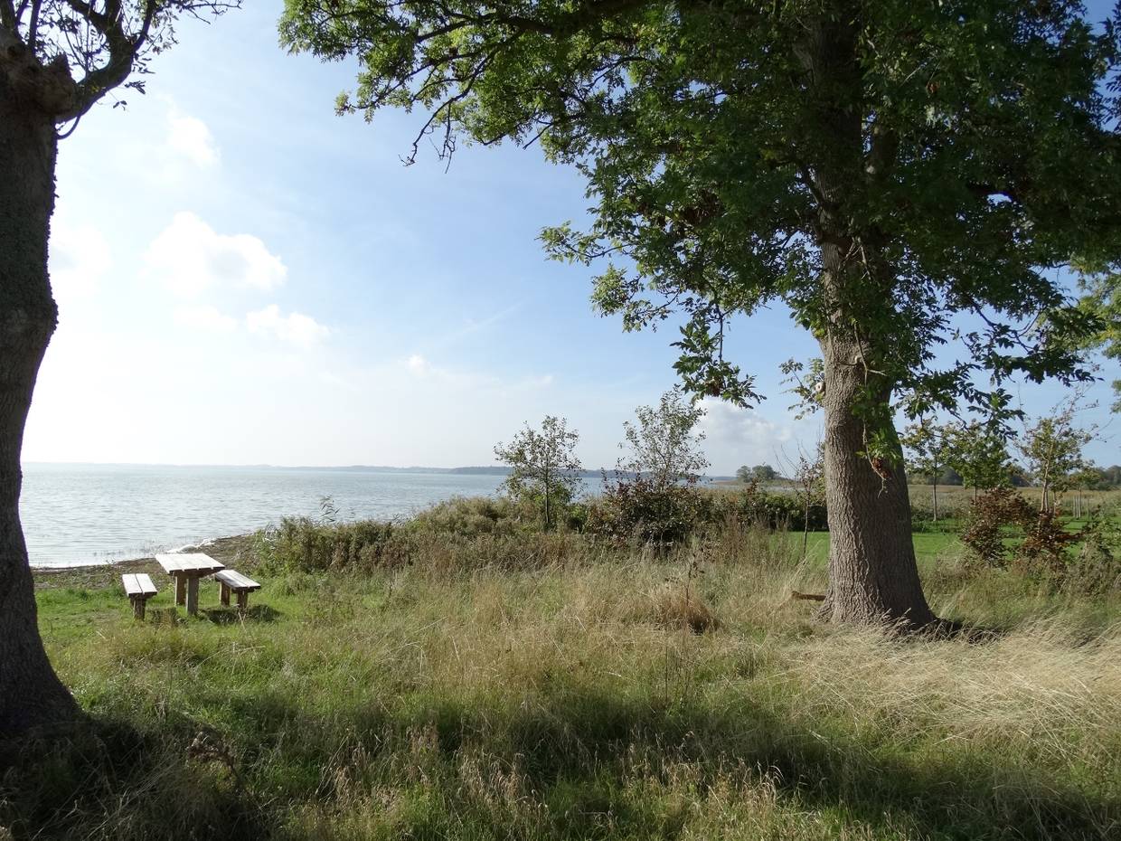 Picknickbank an einem See unter einer Eiche