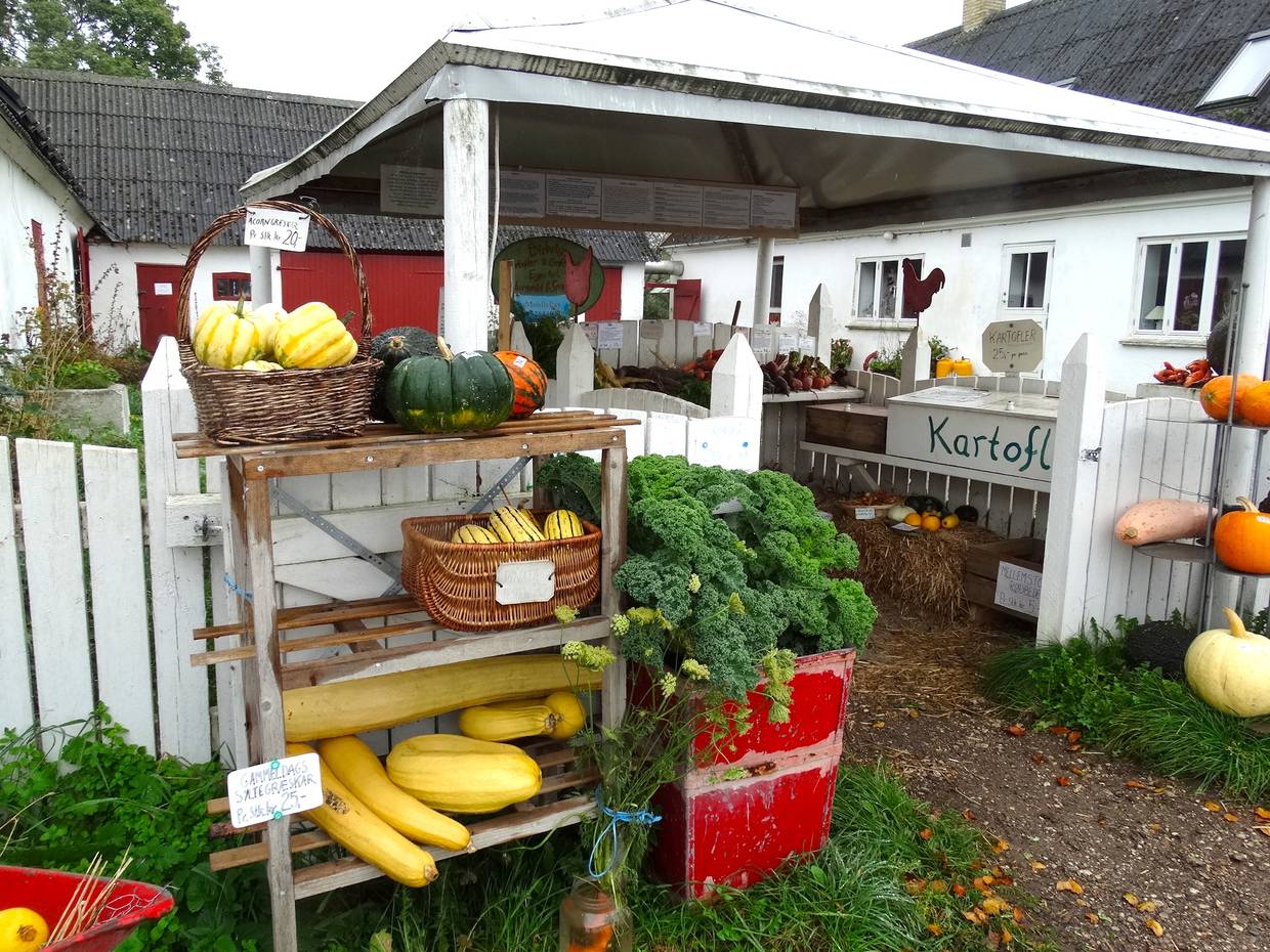 Straßenstand mit Regalen voll herbstlichem Gemüse