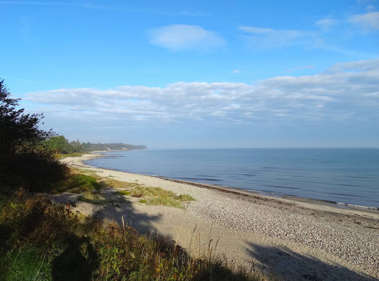 Strand mit Steinen vor einer waldigen Küste
