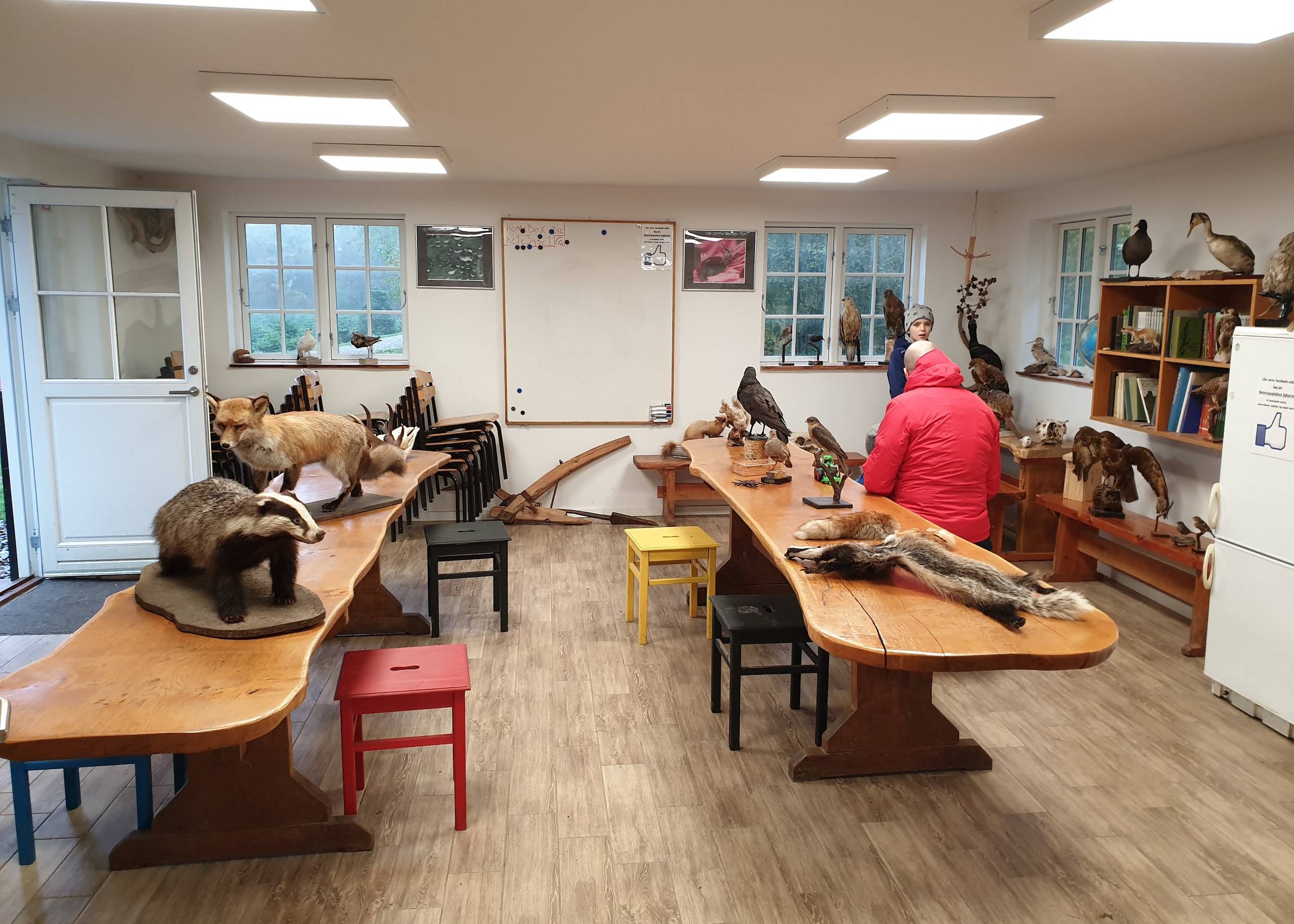 Schulungsraum mit ausgestpoften Tieren auf zwei langen Tischen
