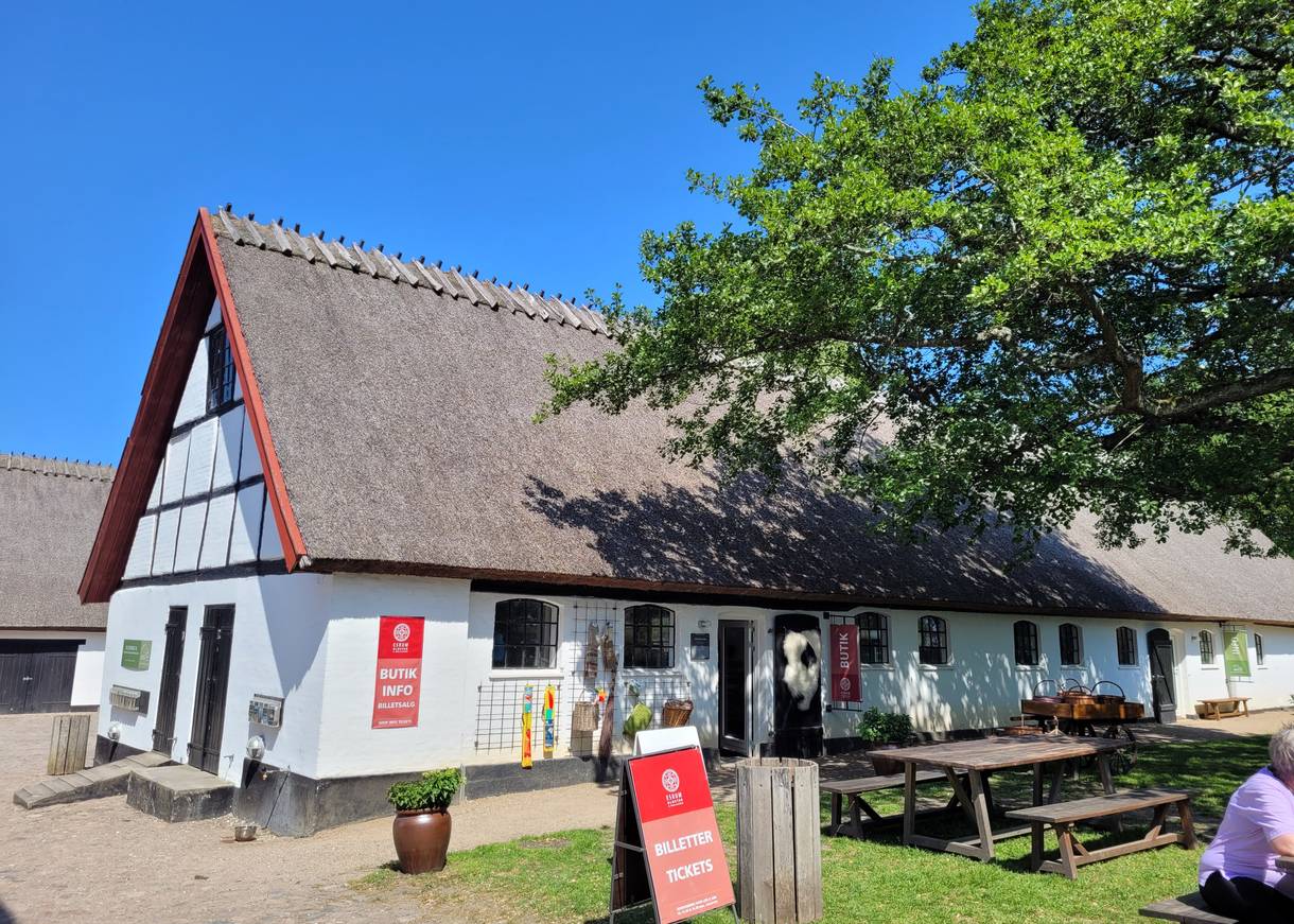 Weißes Reetdachhaus, davor Picknickplaätze unter Bäumen