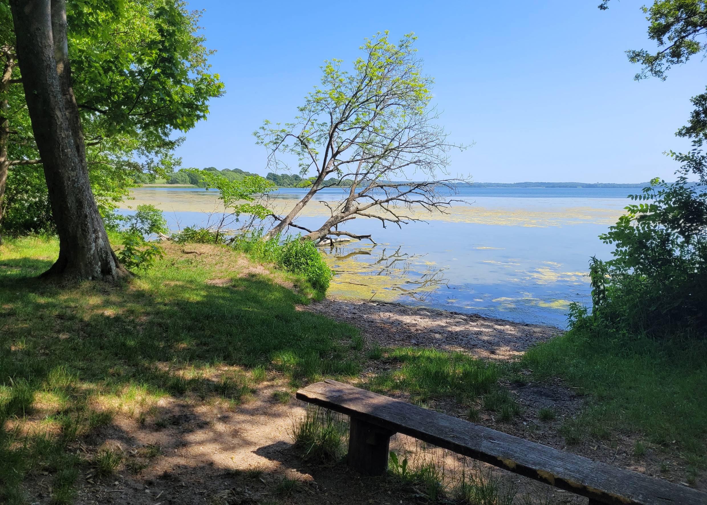 Blick auf einen kleinen Sandflecken unter Bäumen am See