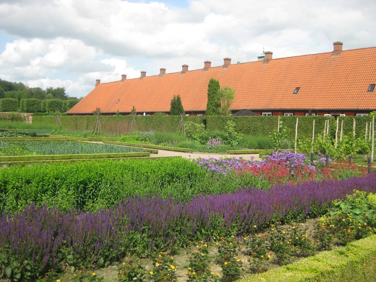Garten mit blühendem Lavendel