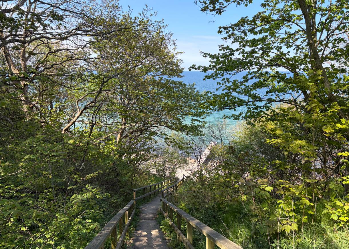 Lange Holztreppe an einem dicht bewachsenen Abhang zum Meer