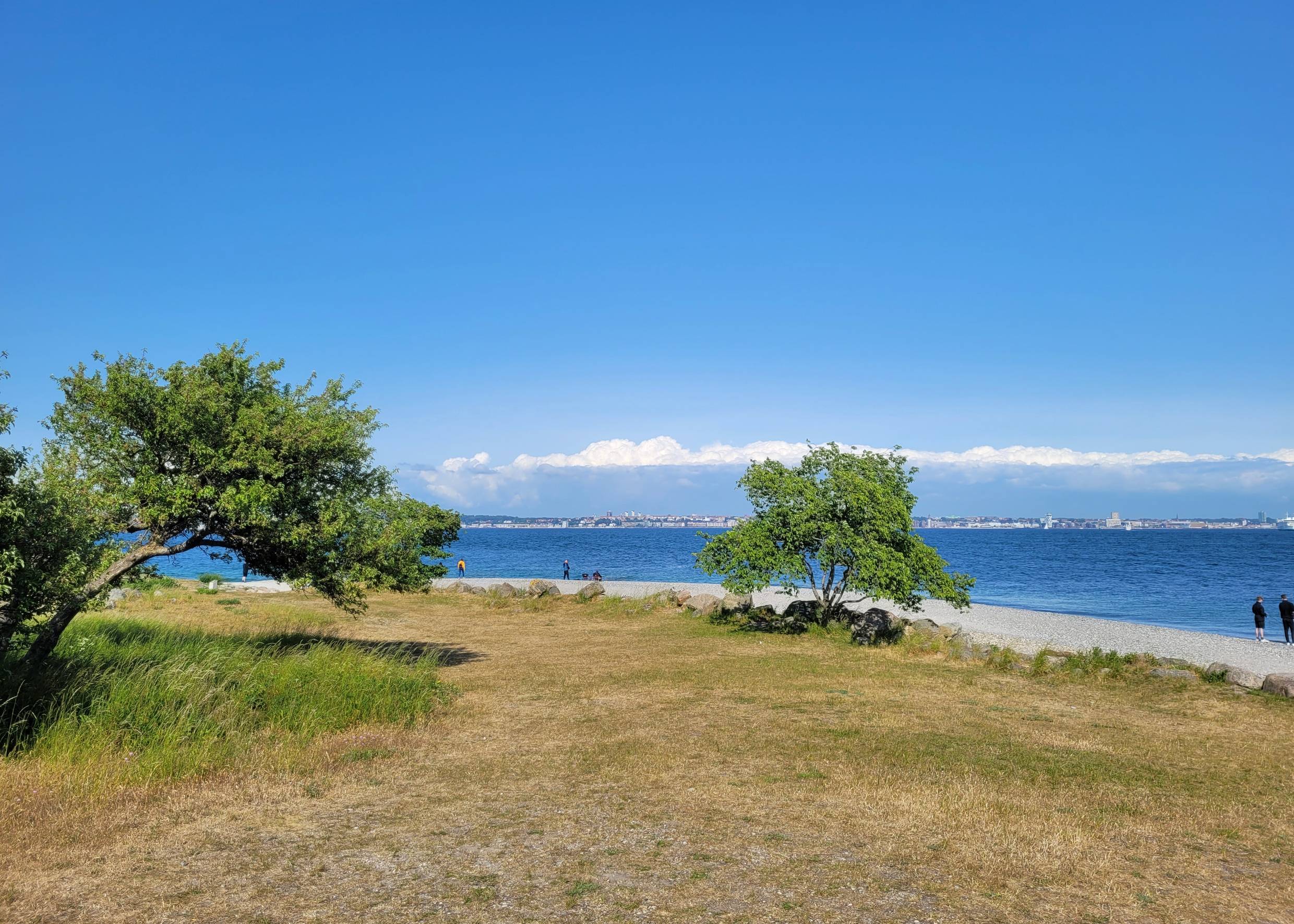 Aussicht über eine Wiese und steinigen Strand zur Küste von Schweden