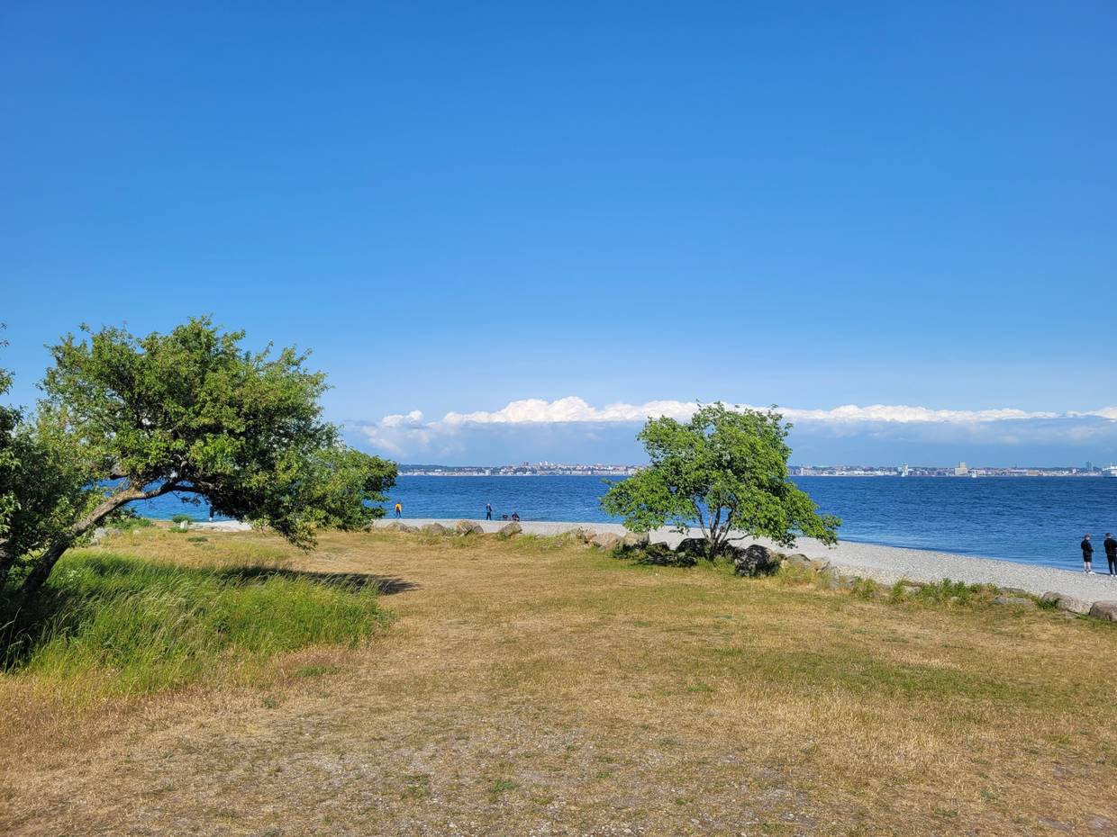 Aussicht über eine Wiese und steinigen Strand zur Küste von Schweden