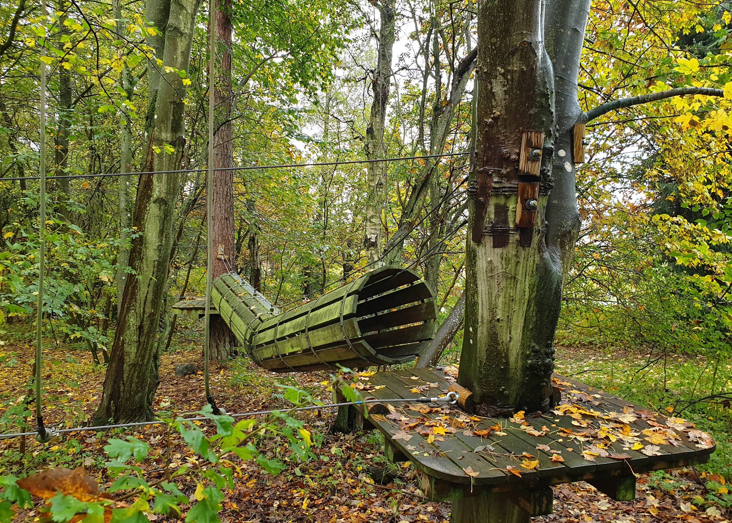 Eine Holzröhre zwischen zwei Bäumen