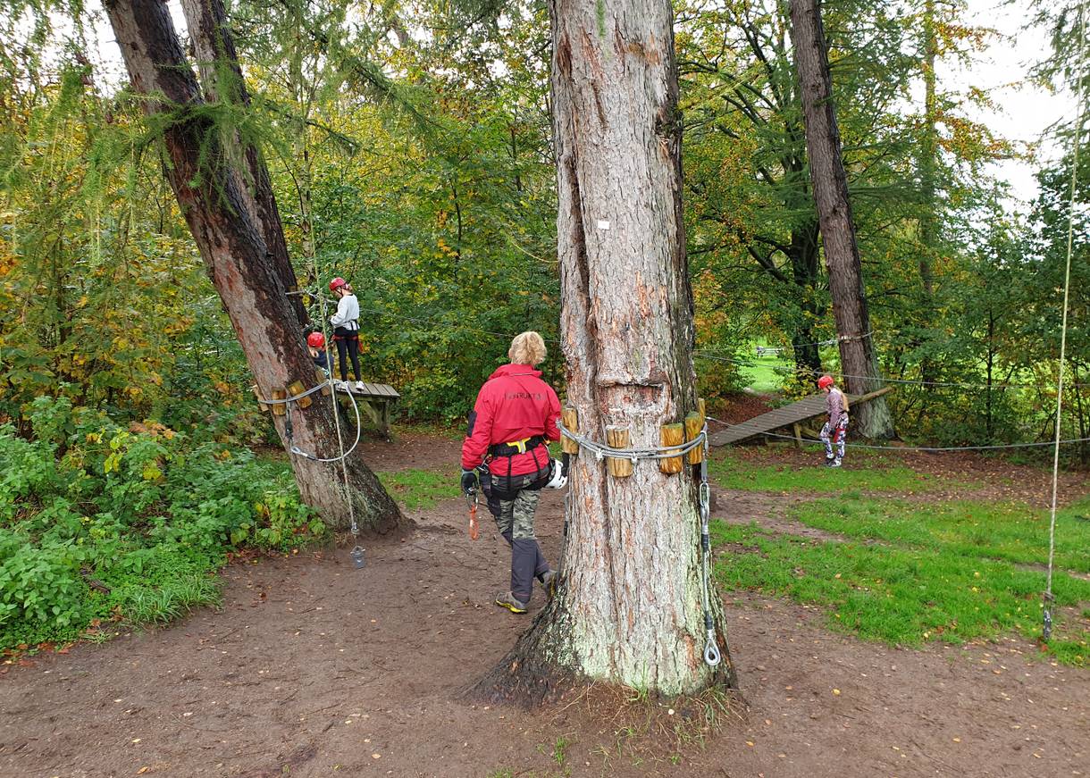 Zwei Personen vor einer Kletterbahn in den Bäumen
