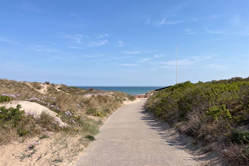 Foto von Hornbæk Strand