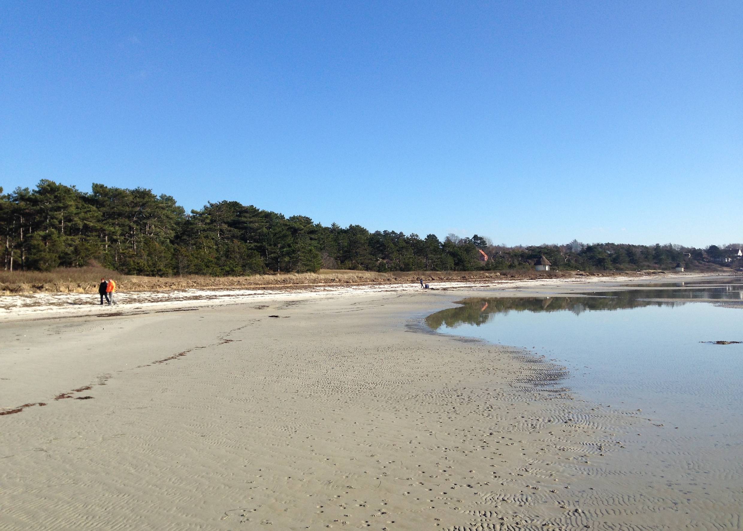 Flacher Sandstrand, im Hintergrund Nadelwald und Spaziergänger