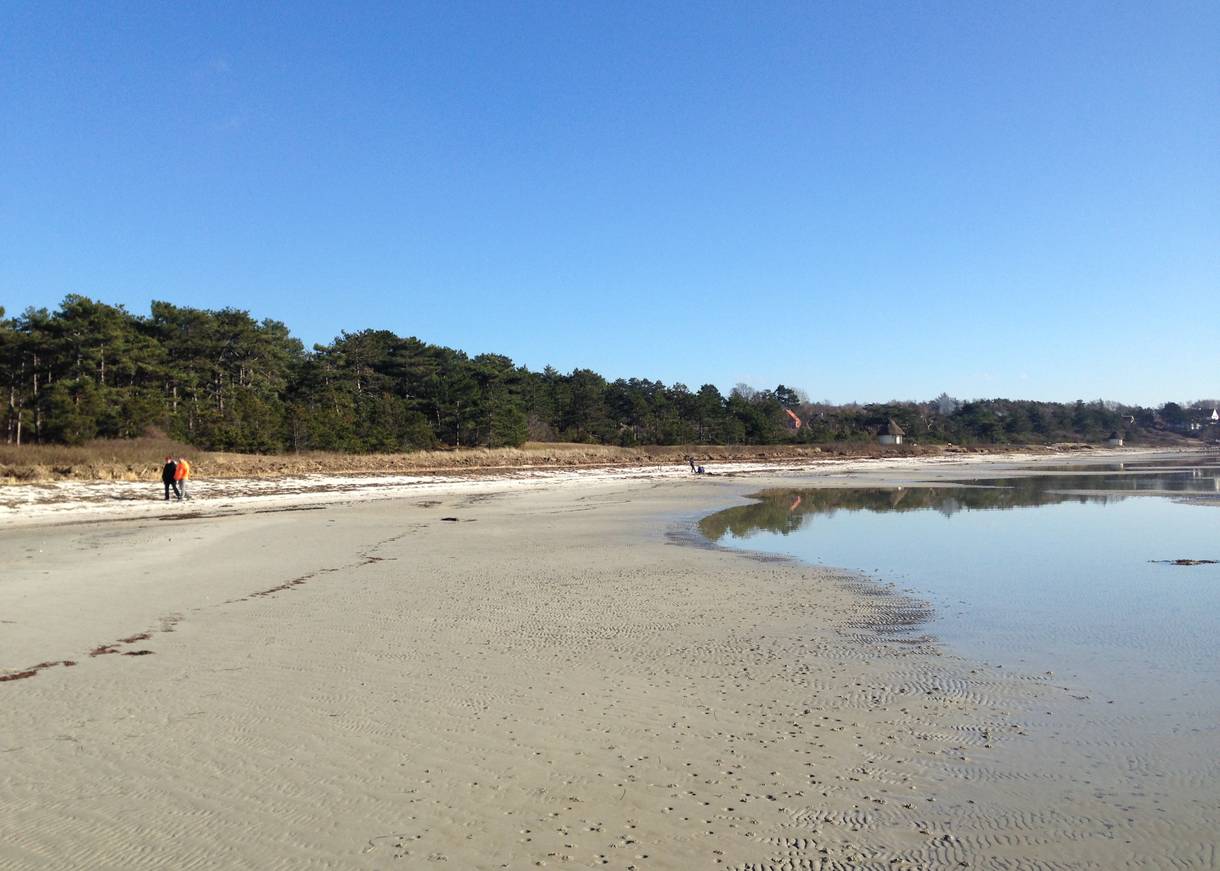 Flacher Sandstrand, im Hintergrund Nadelwald und Spaziergänger