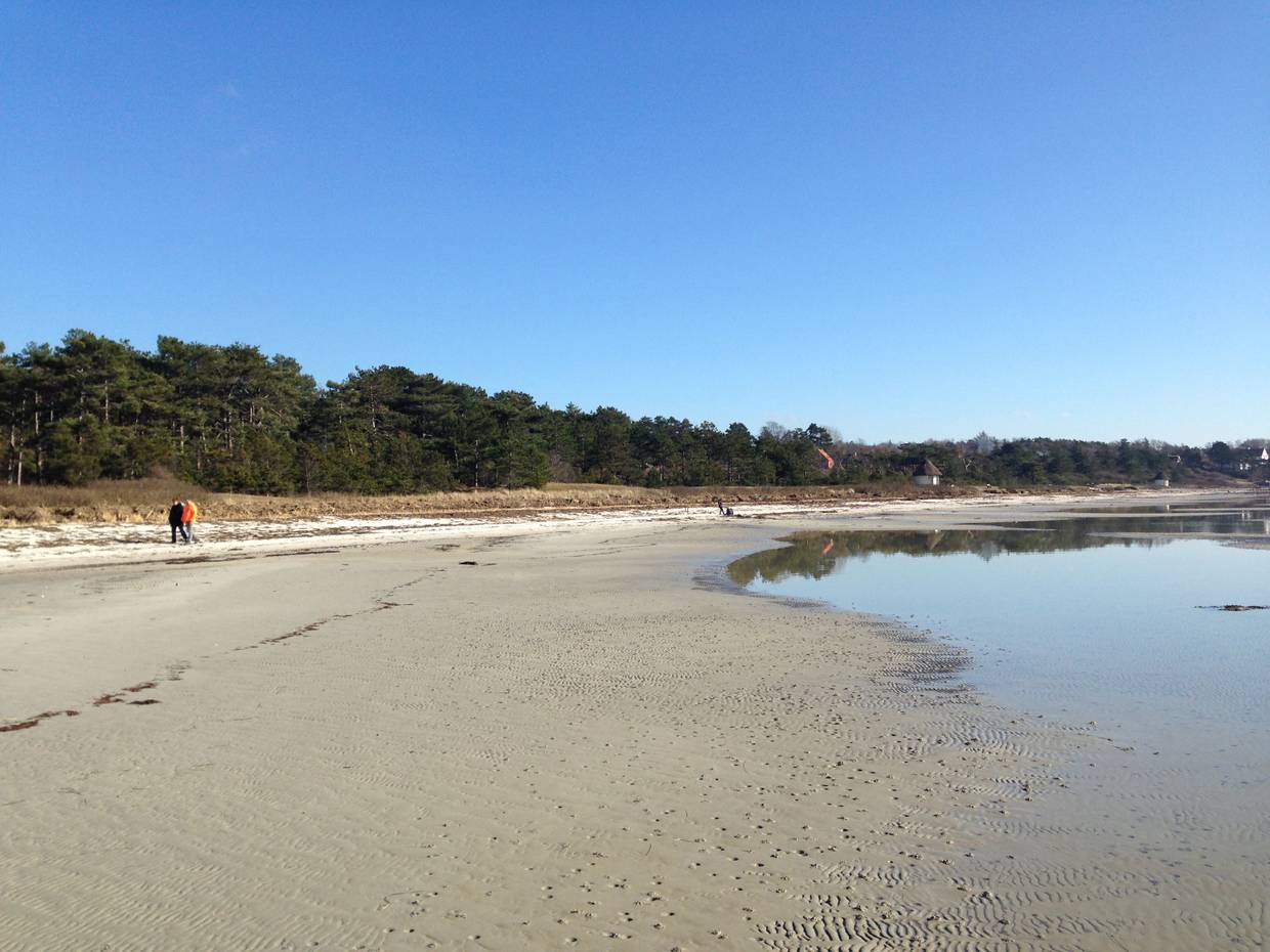Flacher Sandstrand, im Hintergrund Nadelwald und Spaziergänger