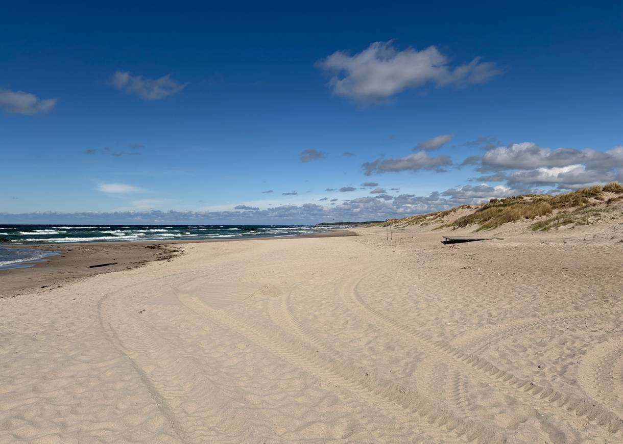Blick auf einen breiten Sandstrand mit Badegästen