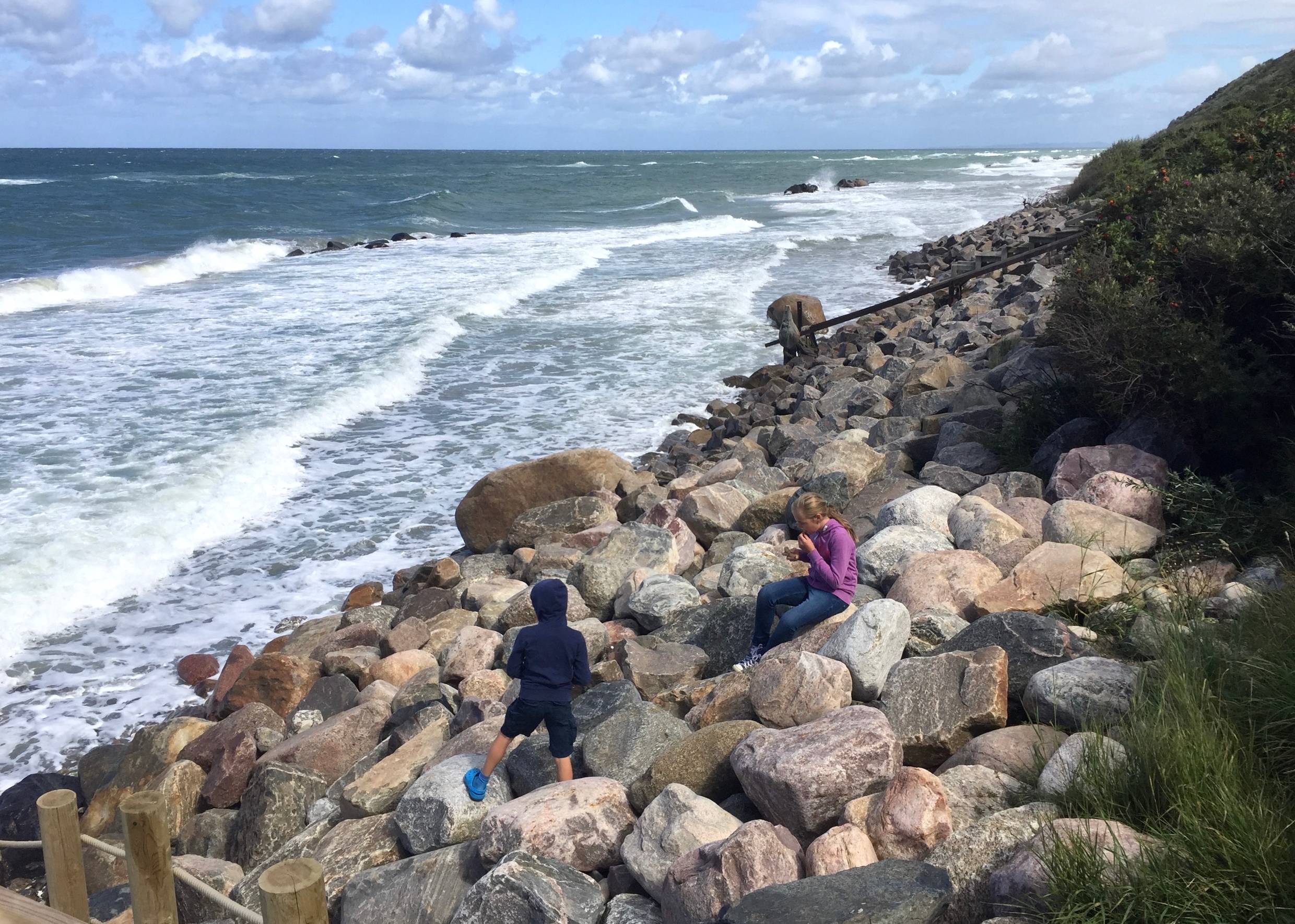 Sehr steinige Küste an der Ostsee
