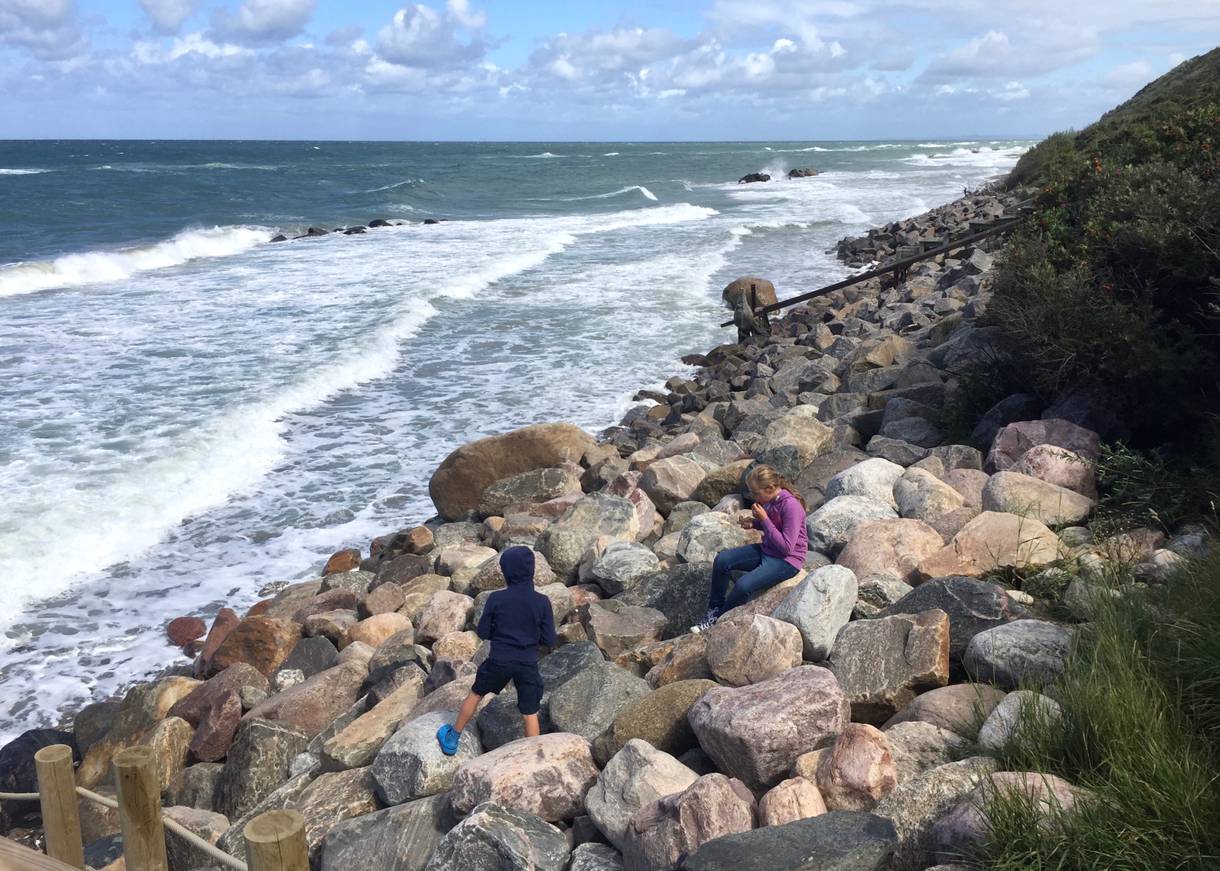 Sehr steinige Küste an der Ostsee