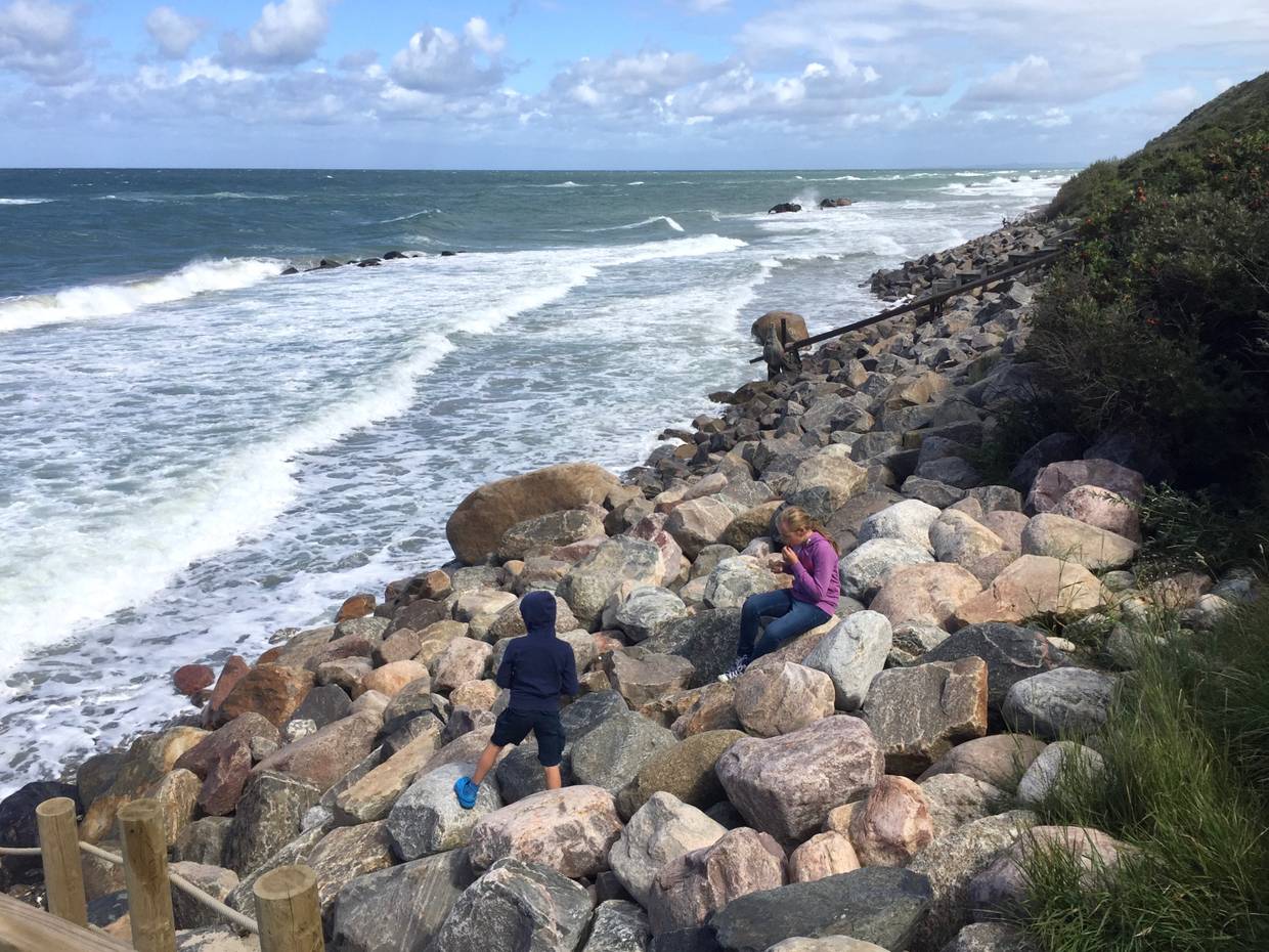 Sehr steinige Küste an der Ostsee